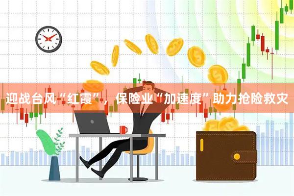 迎战台风“红霞”，保险业“加速度”助力抢险救灾
