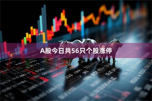 A股今日共56只个股涨停