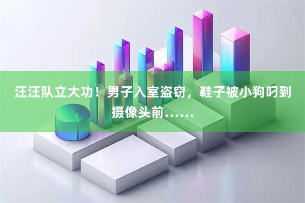 汪汪队立大功！男子入室盗窃，鞋子被小狗叼到摄像头前……